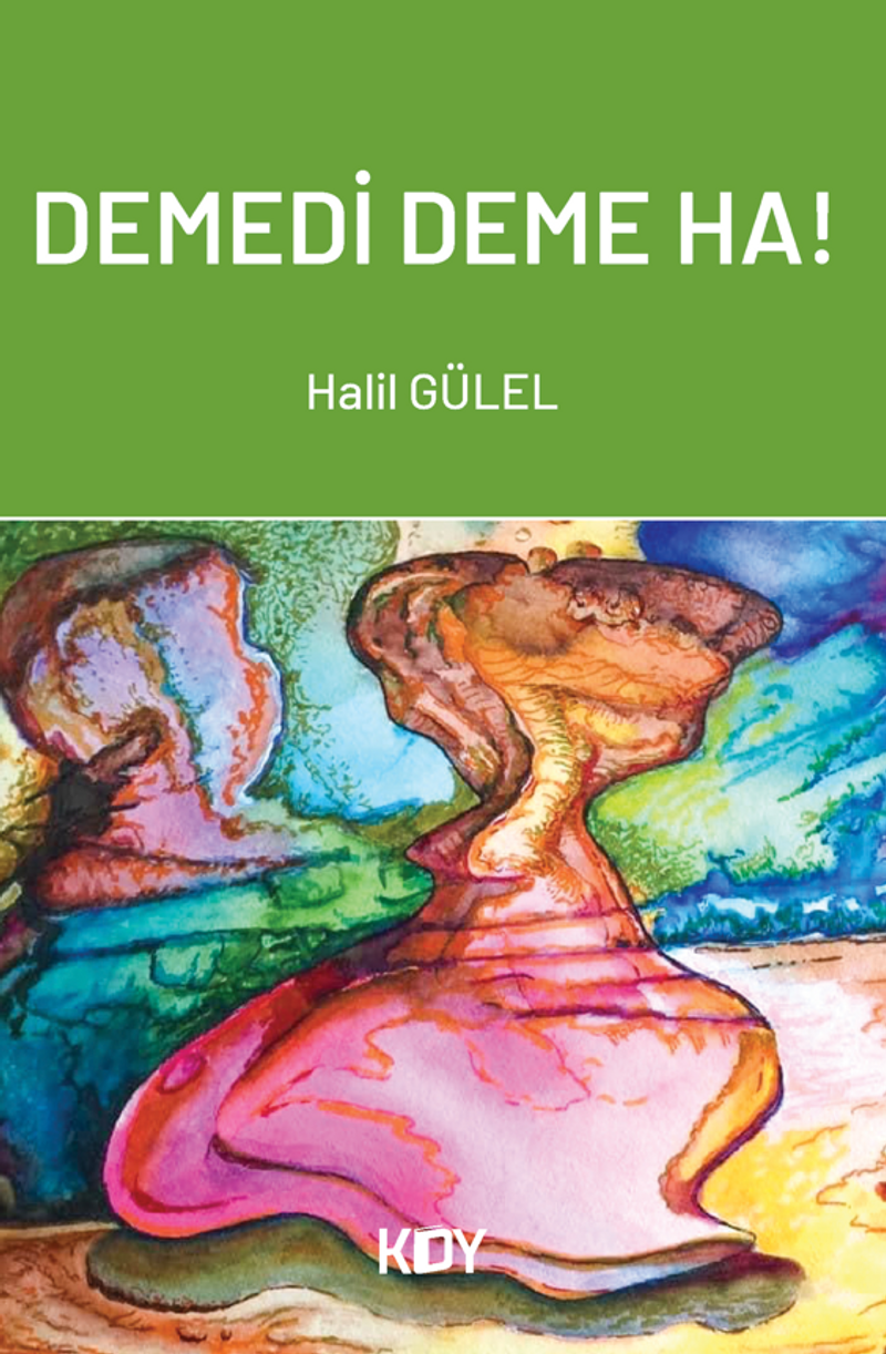 Demedi Deme Ha! kitap kapağı