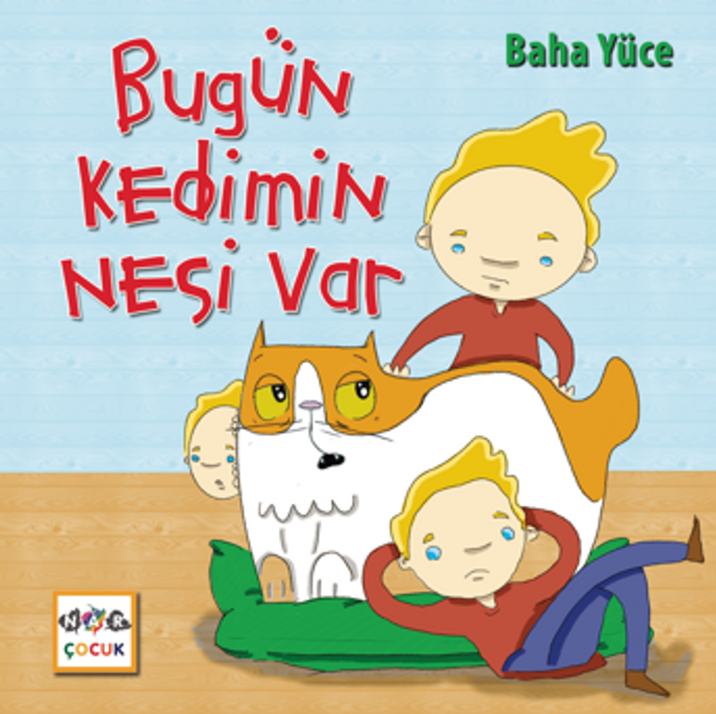 Bugün Kedimin Nesi Var kitap kapağı