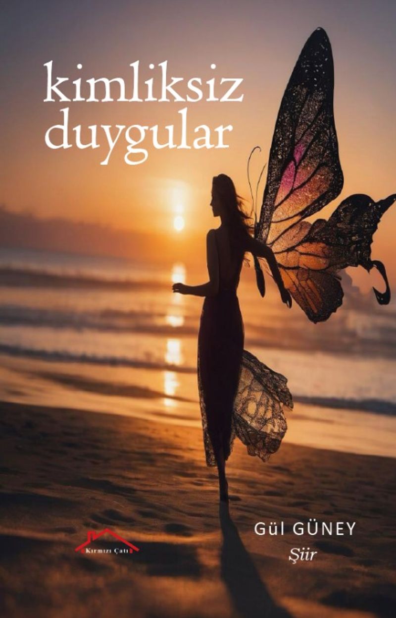 Kimliksiz Duygular kitap kapağı