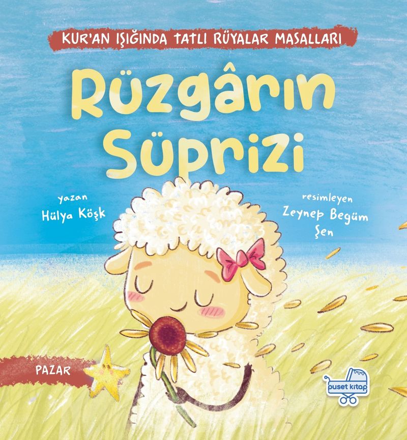 Rüzgarın Sürprizi kitap kapağı