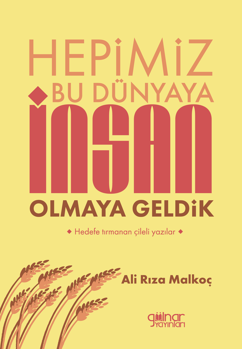 Hepimiz Bu Dünyaya İnsan Olmaya Geldik kitap kapağı