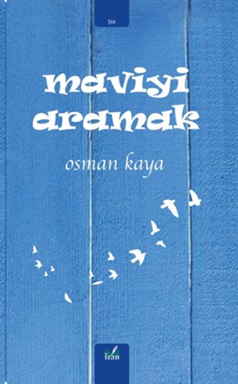 Maviyi Aramak kitap kapağı