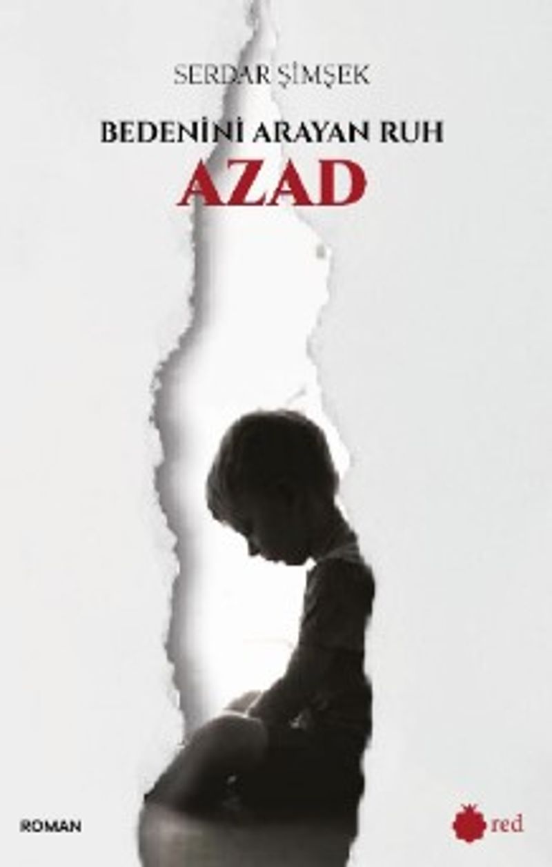 Bedenini Arayan Ruh Azad kitap kapağı