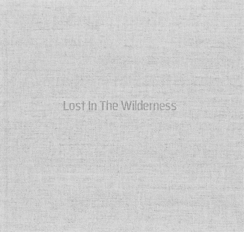 Lost In The Wilderness kitap kapağı