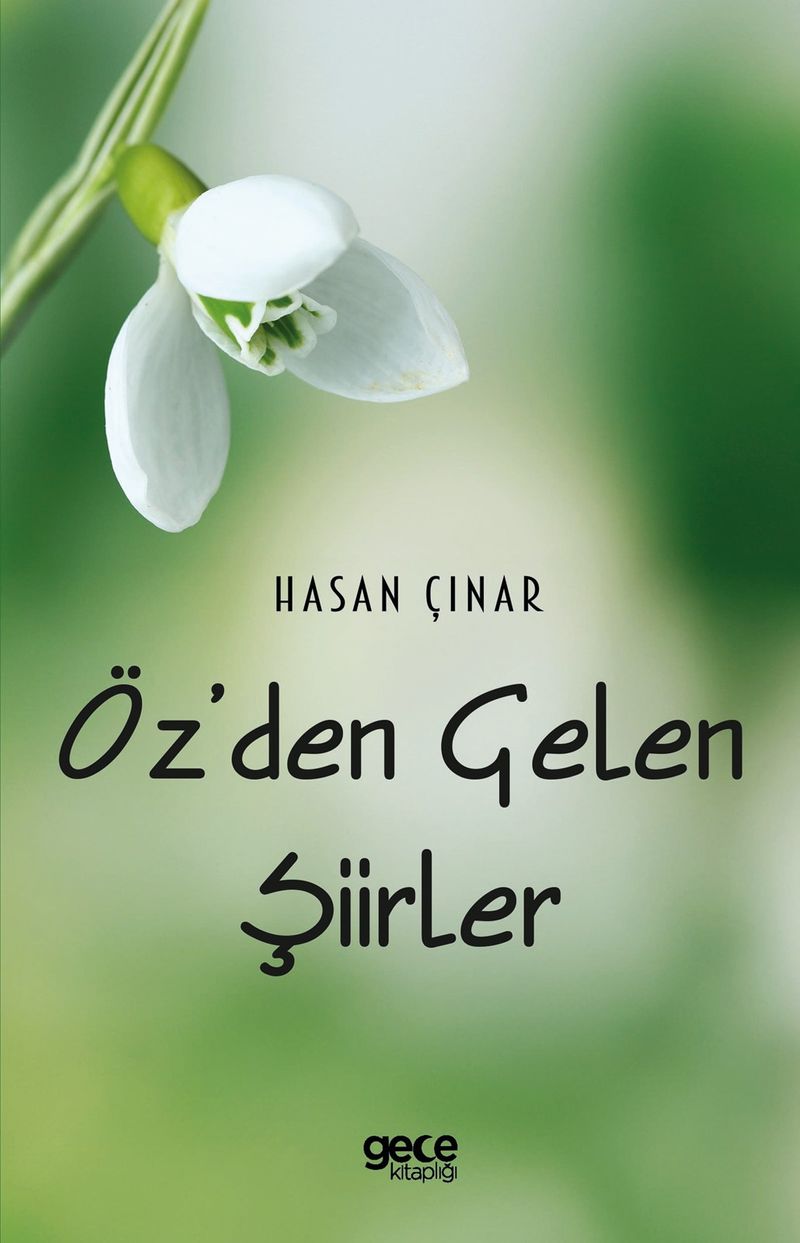 Öz'den Gelen Şiirler kitap kapağı
