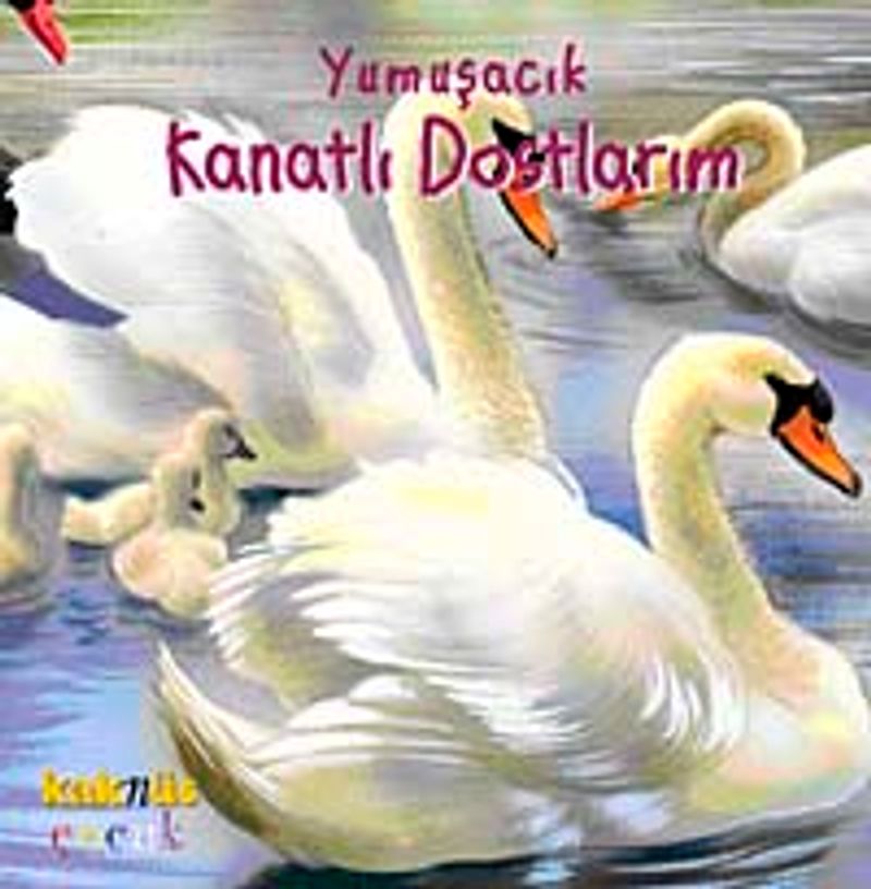 Yumuşacık Kanatlı Dostlarım kitap kapağı