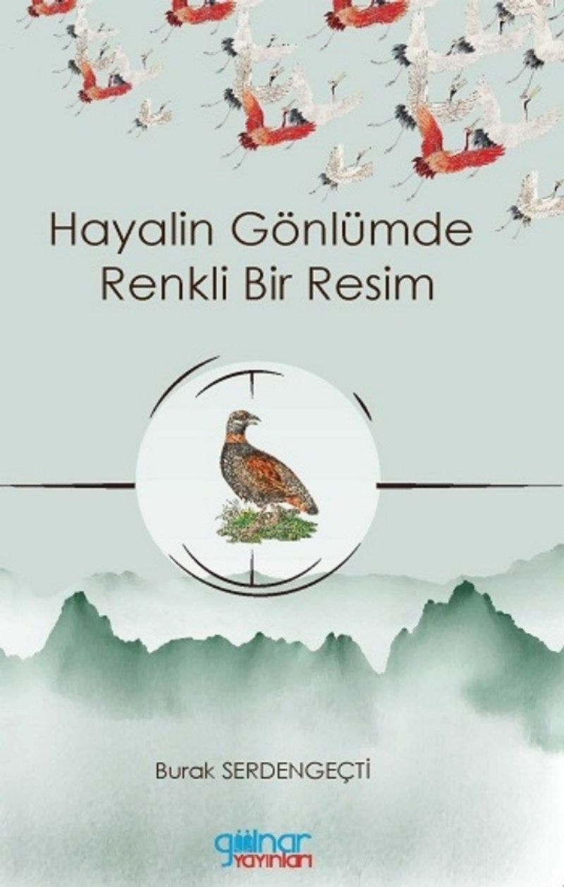 Hayalin Gönlümde Renkli Bir Resim kitap kapağı