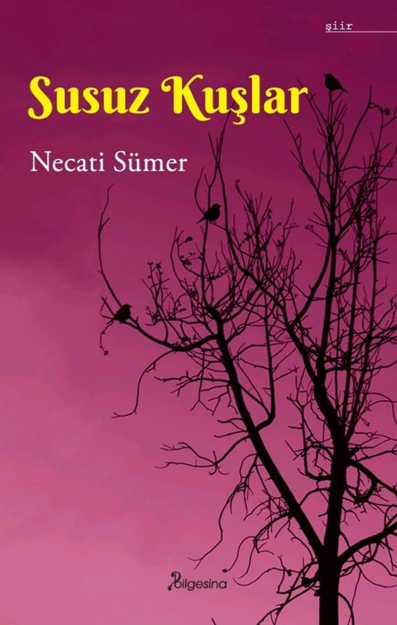 Susuz Kuşlar kitap kapağı