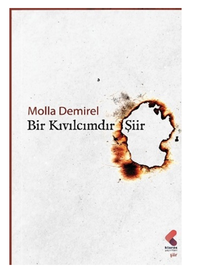 Bir Kıvılcımdır Şiir kitap kapağı