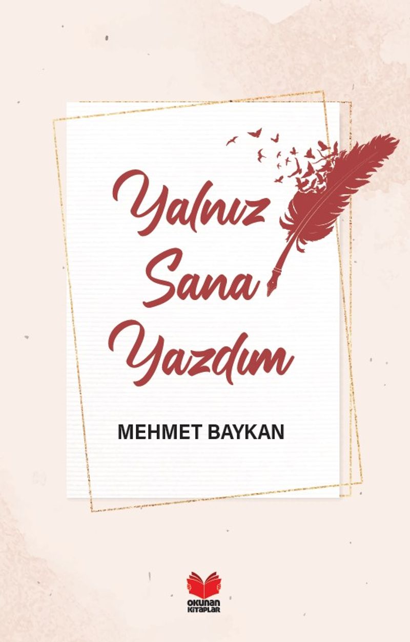 Yalnız Sana Yazdım kitap kapağı