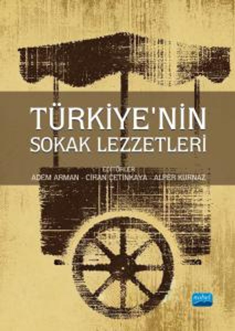 Türkiye'nin Sokak Lezzetleri kitap kapağı