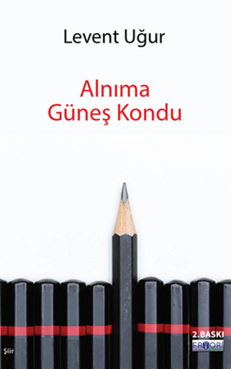 Alnıma Güneş Kondu kitap kapağı