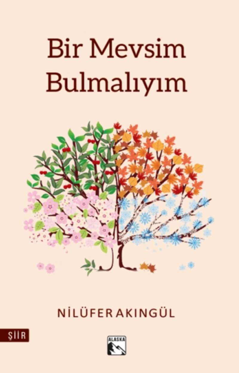 Bir Mevsim Bulmalıyım kitap kapağı