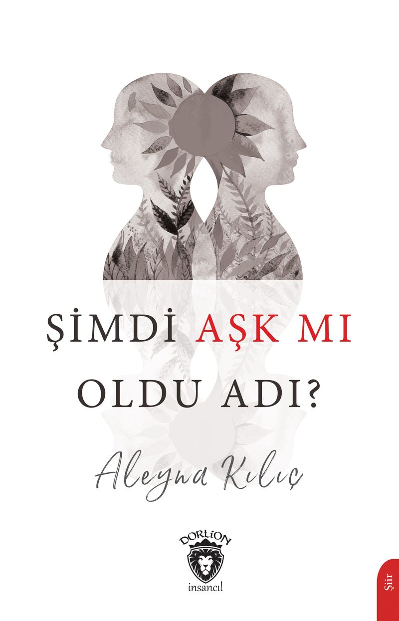 Şimdi Aşk mı Oldu Adı? kitap kapağı