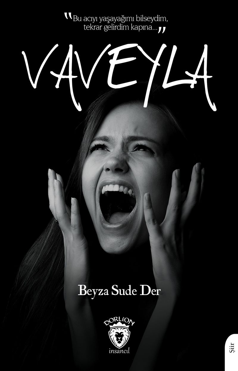 Vaveyla kitap kapağı