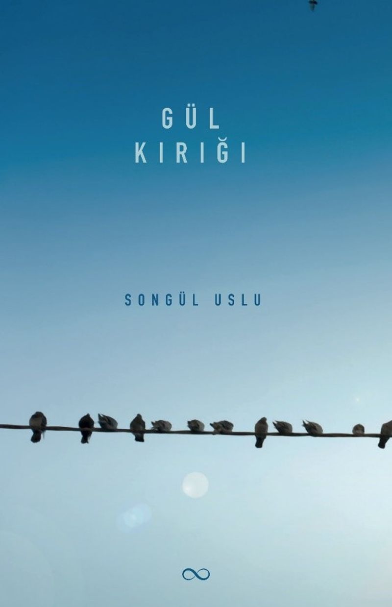 Gül Kırığı kitap kapağı