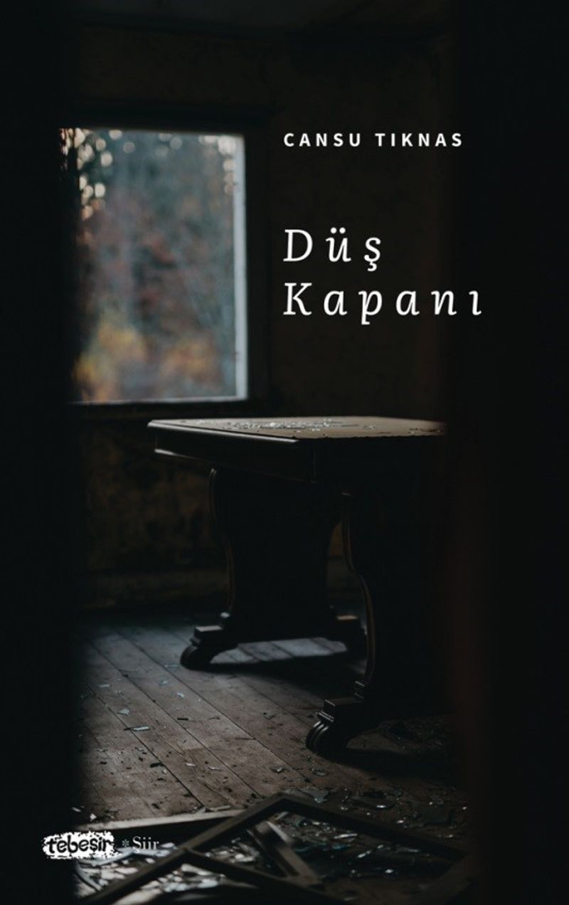 Düş Kapanı kitap kapağı