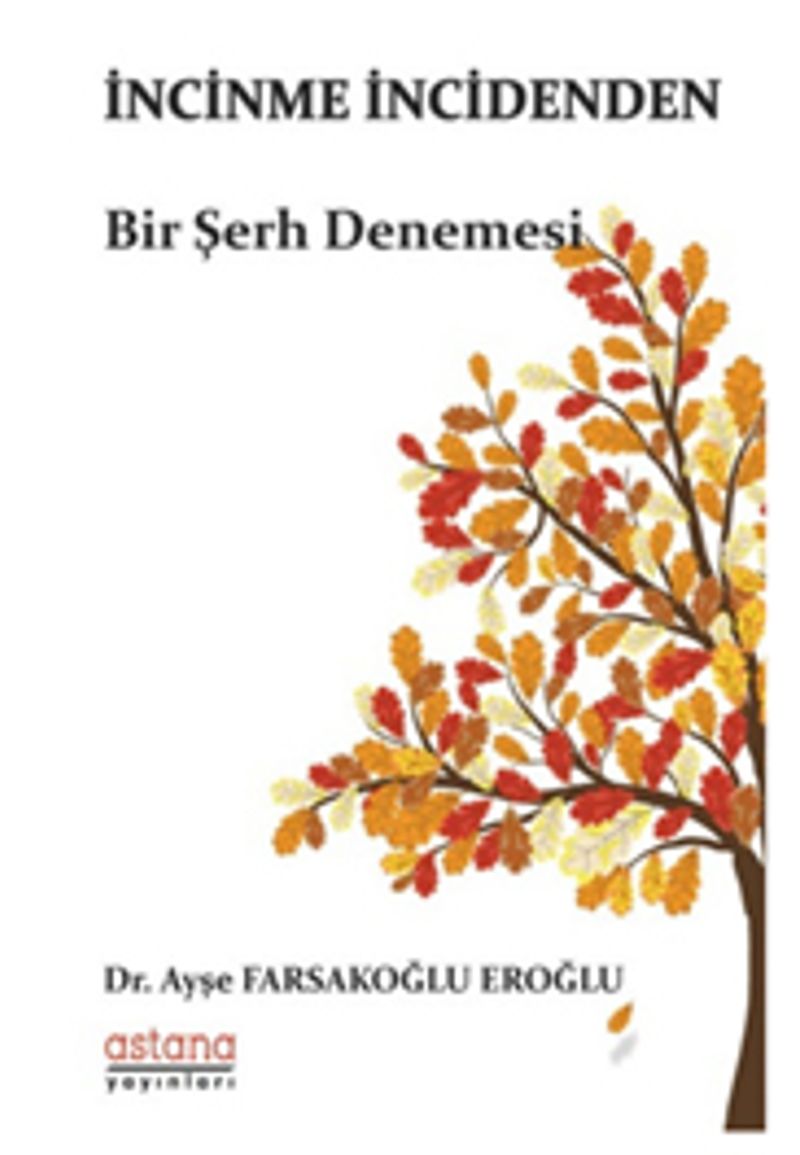 İncinme İncidenden kitap kapağı