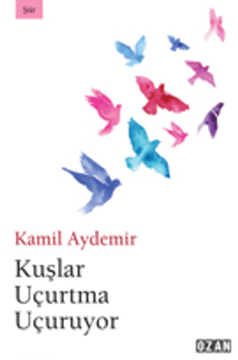 Kuşlar Uçurtma Uçuruyor kitap kapağı