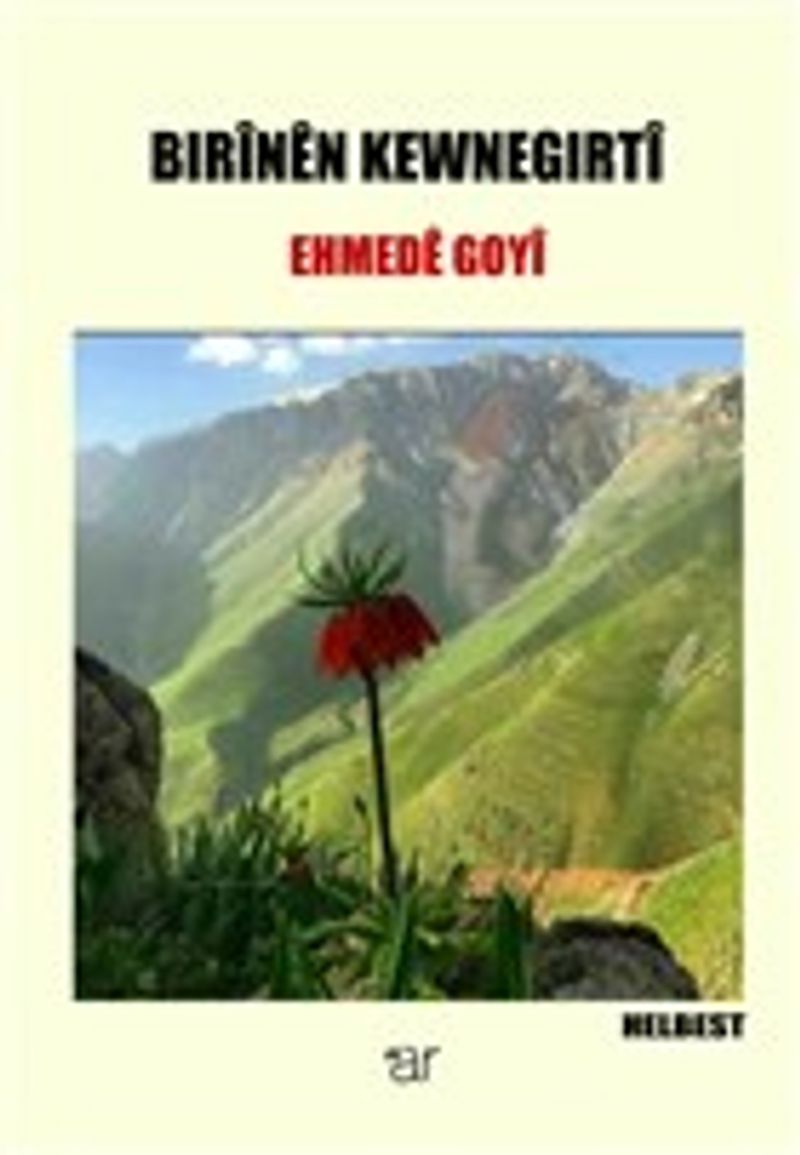 Bırinen Kewnegırti kitap kapağı