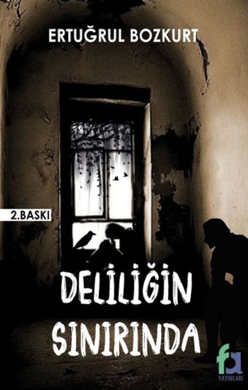 Deliliğin Sınırında kitap kapağı