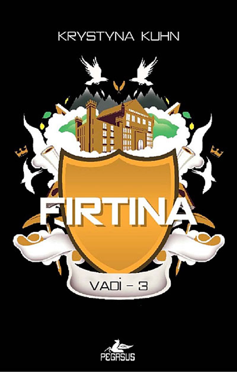 Fırtına / Vadi -3 kitap kapağı
