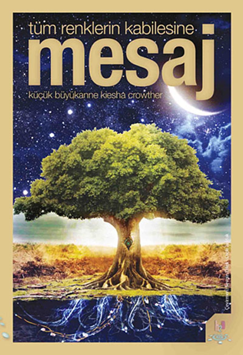 Tüm Renklerin Kabilesine Mesaj kitap kapağı