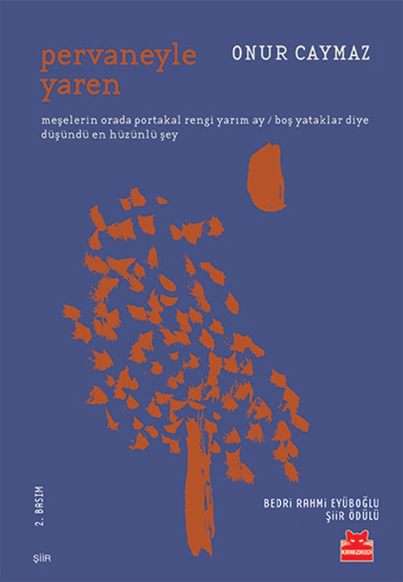 Pervaneyle Yaren kitap kapağı