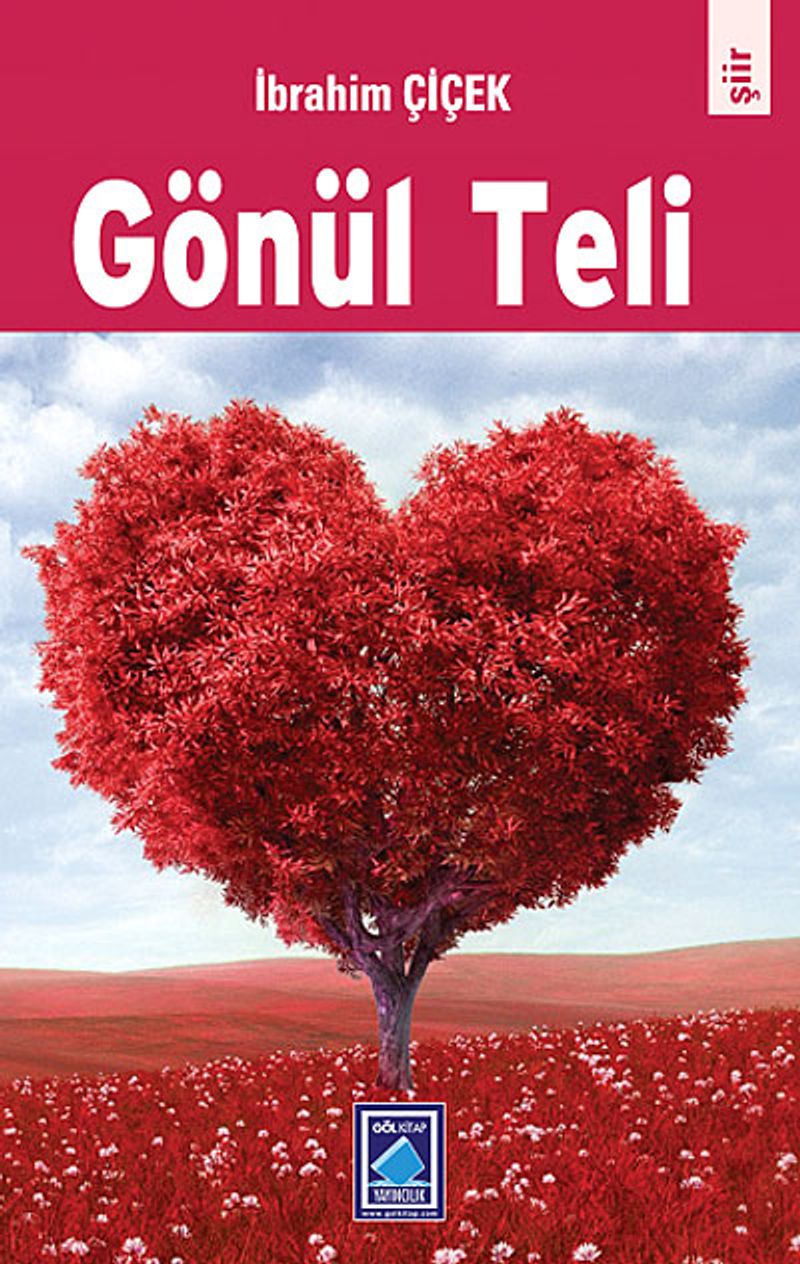 Gönül Teli kitap kapağı