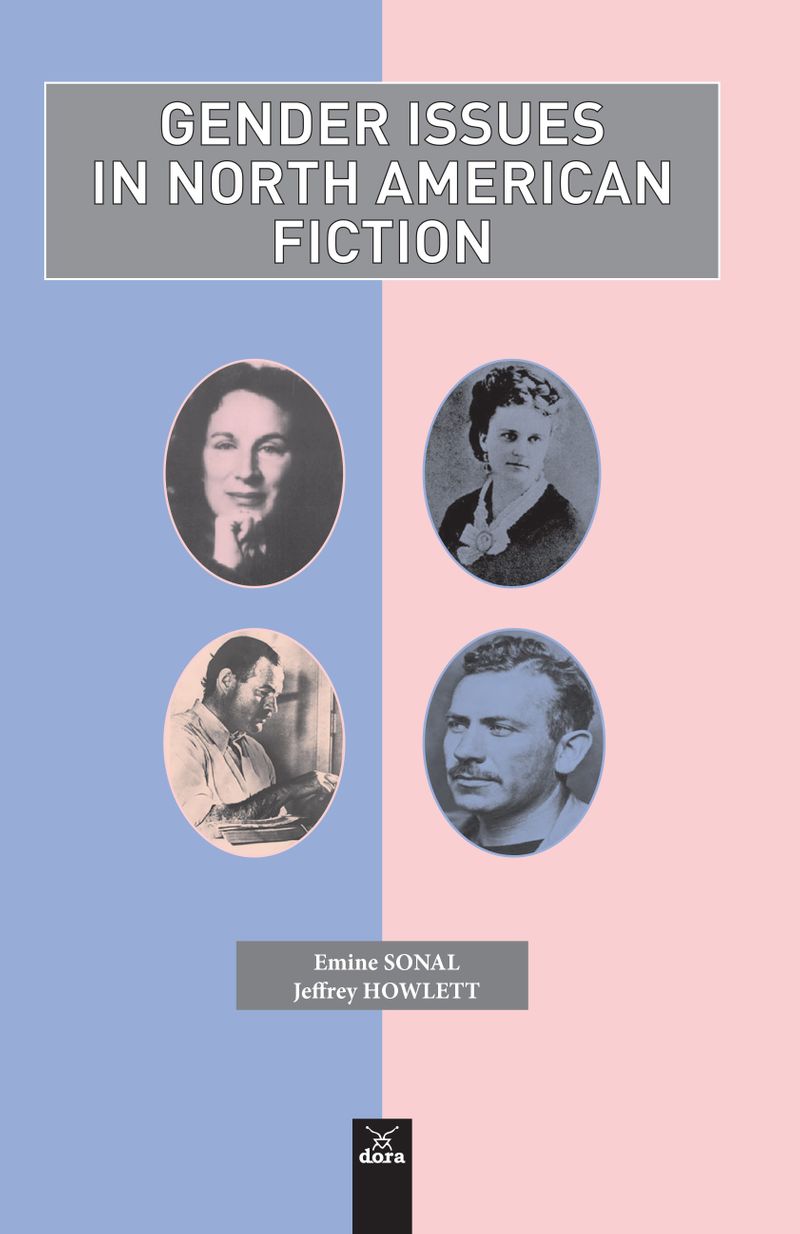 Gender Issues In North American Fiction kitap kapağı