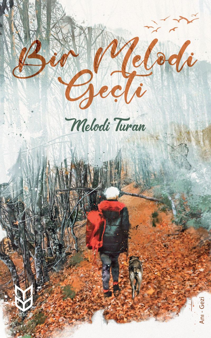 Bir Melodi Geçti kitap kapağı