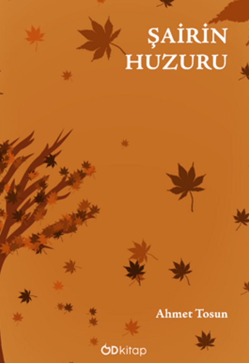 Şairin Huzuru kitap kapağı