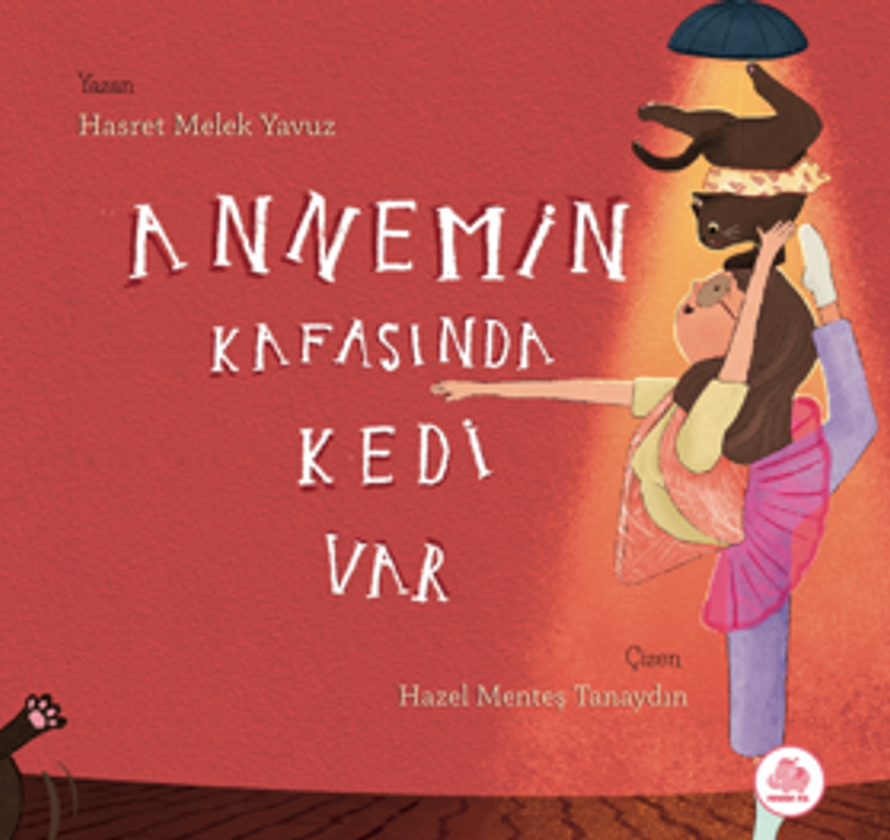 Annemin Kasanıda Kedi Var kitap kapağı