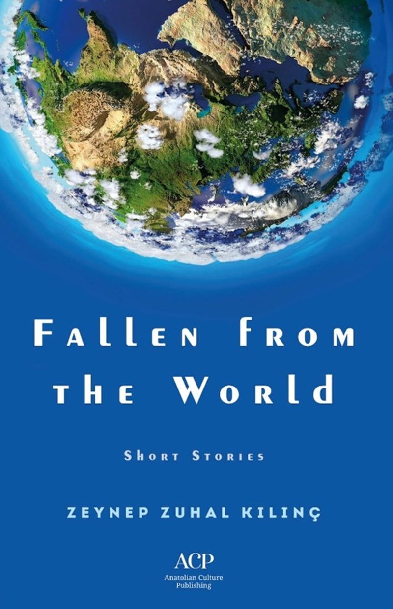 Fallen From The World kitap kapağı