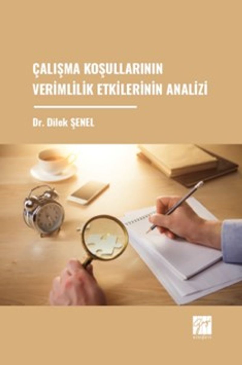 Çalışma Koşullarının Verimlilik Etkilerinin Analizi kitap kapağı