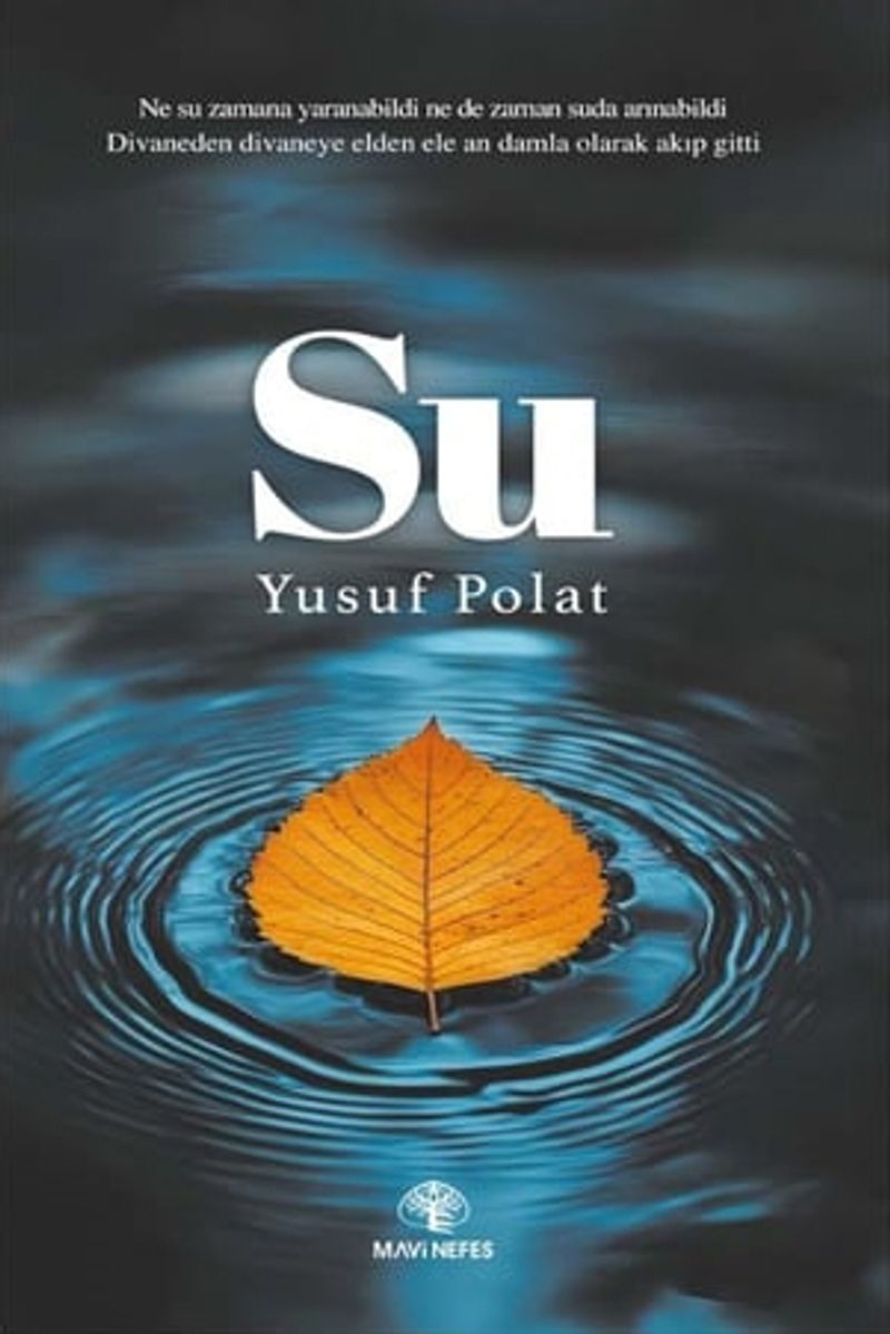 Su kitap kapağı