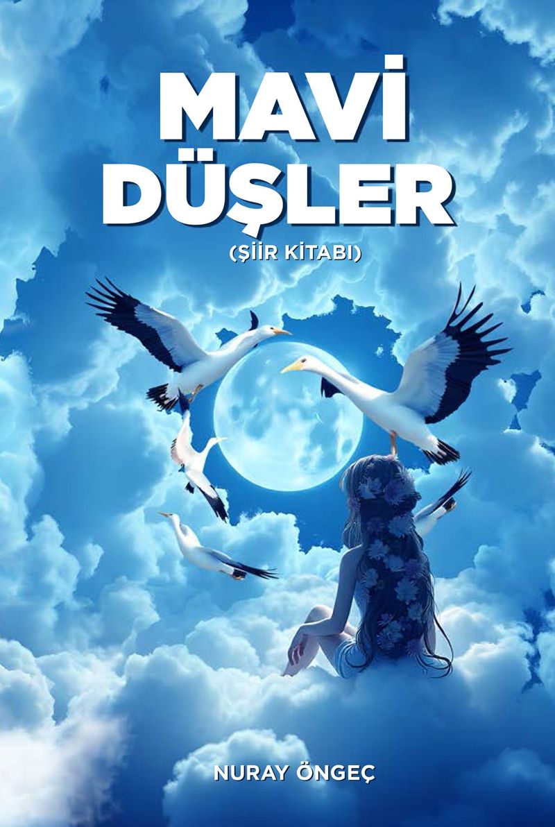 Mavi Düşler kitap kapağı