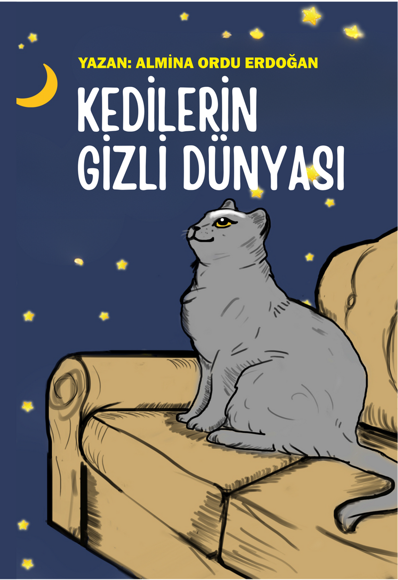Kedilerin Gizli Dünyası kitap kapağı
