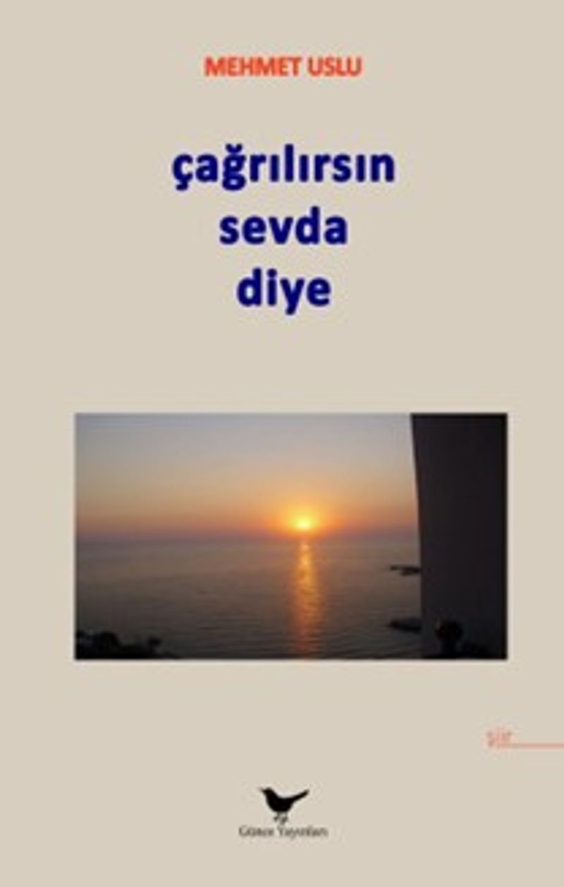 Çağrılırsın Sevda Diye kitap kapağı