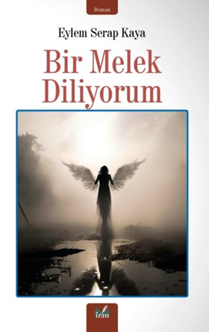 Bir Melek Diliyorum kitap kapağı