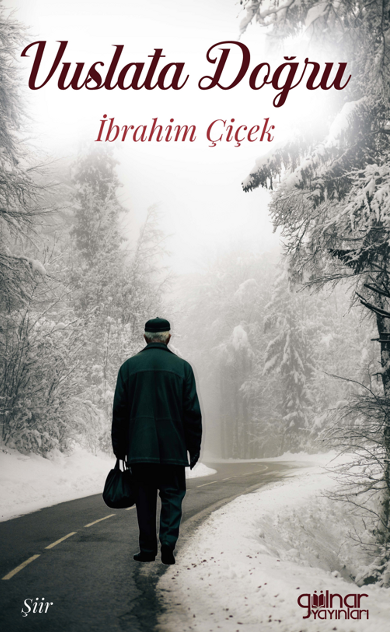 Vuslata Doğru kitap kapağı