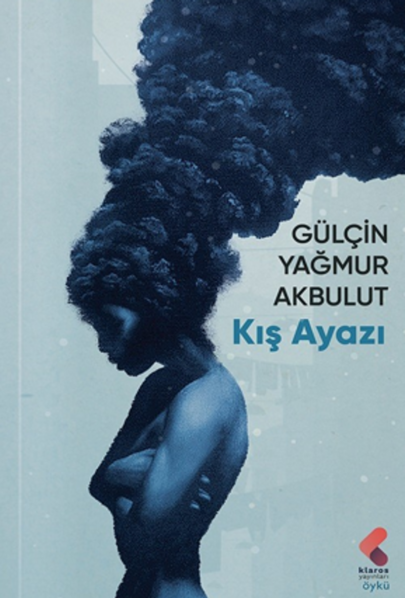 Kış Ayazı kitap kapağı