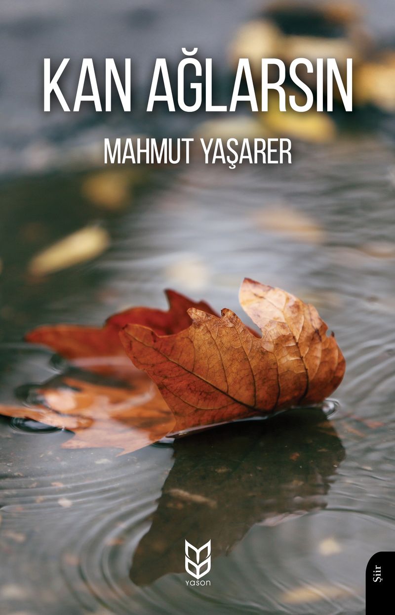 Kan Ağlarsın kitap kapağı