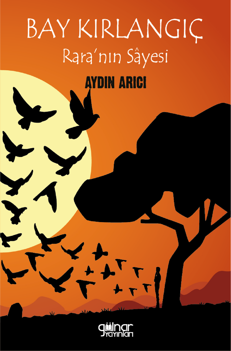 Bay Kırlangıç Rara'nın Sayesi kitap kapağı