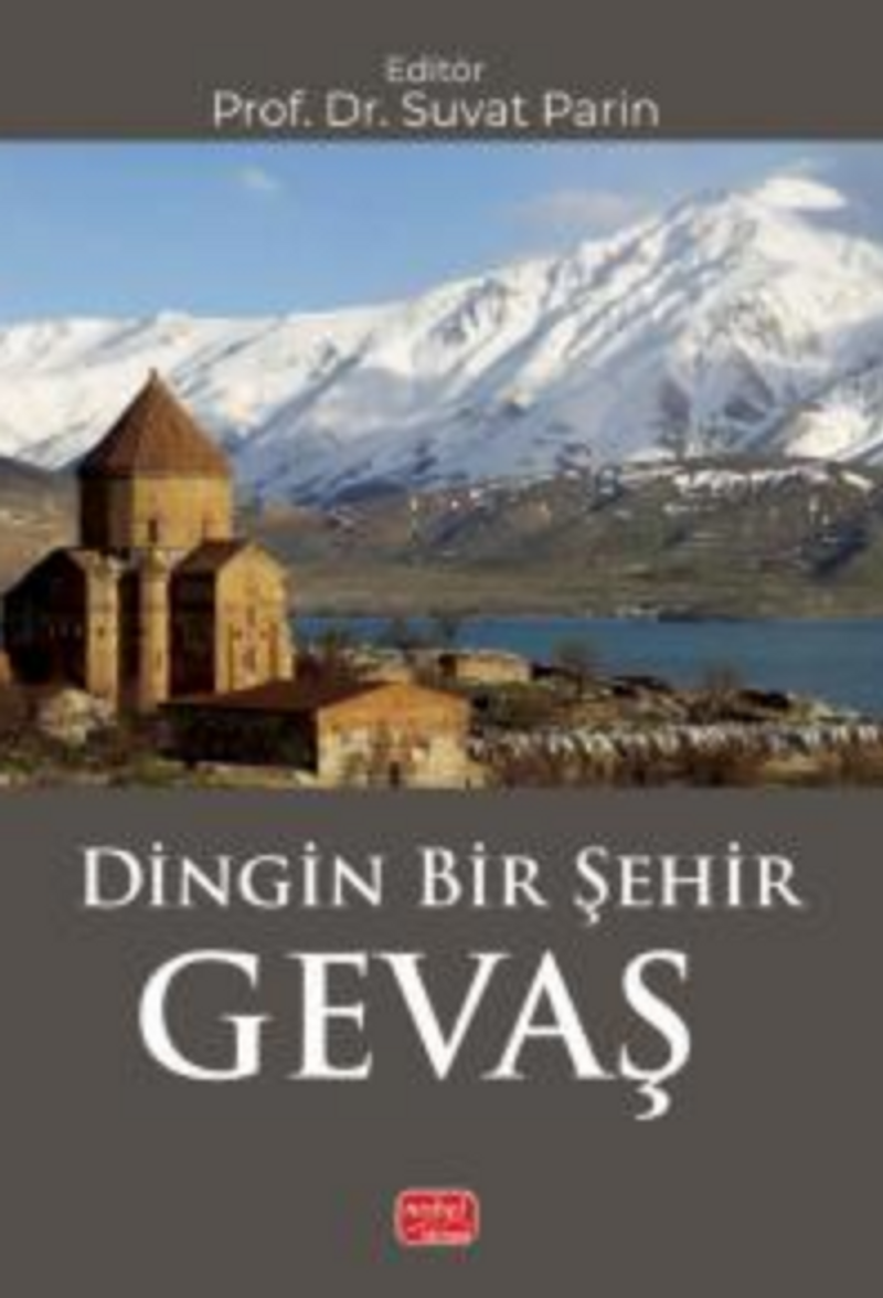 Dingin Bir Şehir Gevaş kitap kapağı