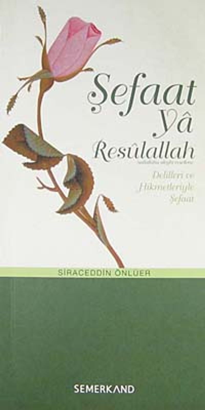 Şefaat ya Resulallah (sav) Delilleri ve Hikmetleriyle Şefaat kitap kapağı