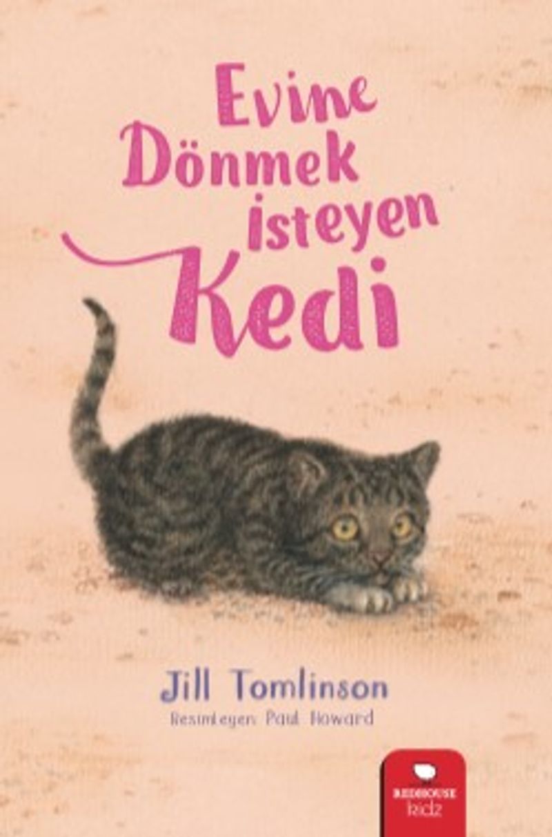 Evine Dönmek İsteyen Kedi kitap kapağı