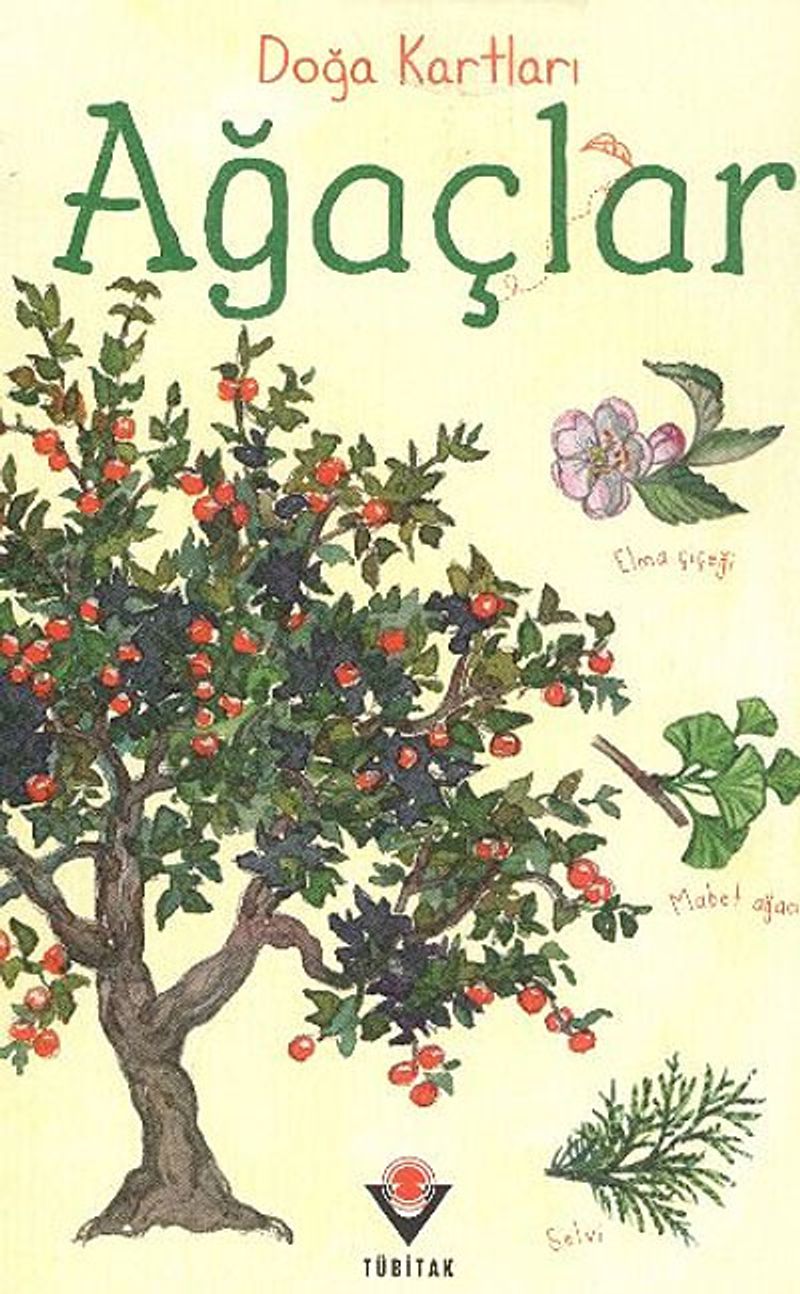 Doğa Kartları / Ağaçlar kitap kapağı