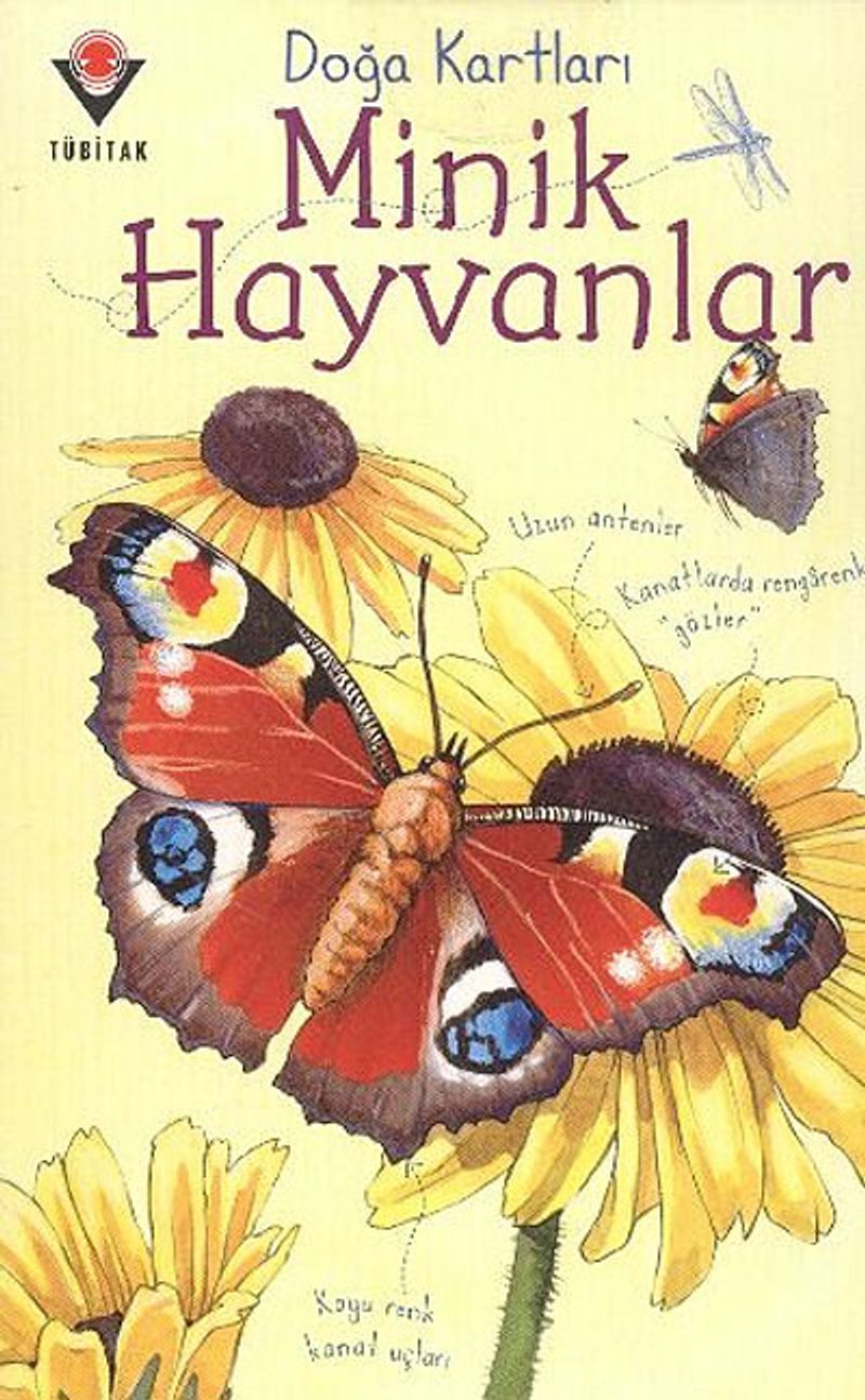 Doğa Kartları / Minik Hayvanlar kitap kapağı
