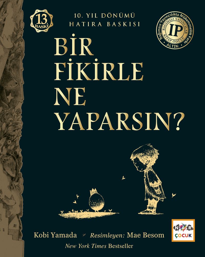 Bir Fikirle Ne Yaparsın? kitap kapağı